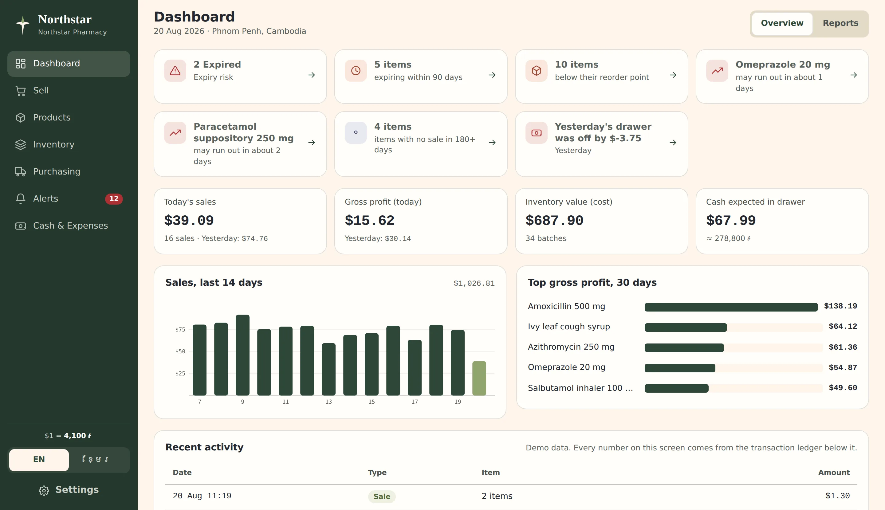 The Northstar dashboard: alert cards for expired stock and reorder points, today's sales and gross profit, a 14-day sales chart, and a recent-activity ledger.